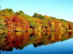 Getting ready for fall