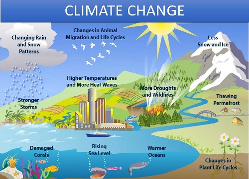 Climate change blog building back better